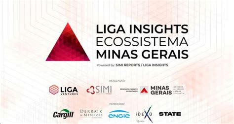 Ecossistema De Startups De Minas Gerais BL Consultoria Digital