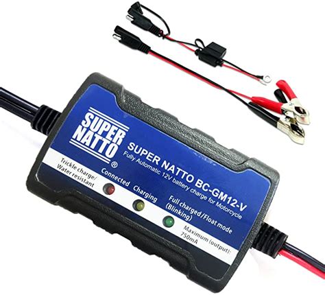 12 Volt Trickle Charger Outdoor Laxentheory