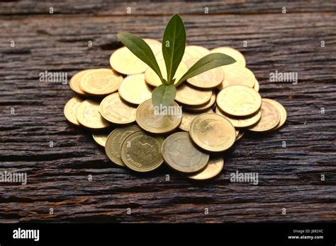 Growth Graph Trees Hi Res Stock Photography And Images Alamy