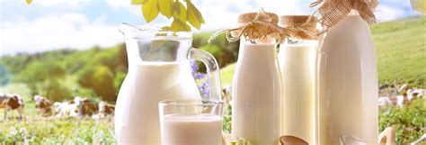 Lait De Ch Vre Et Cosm Tique Naturel Lessentiel Savoir