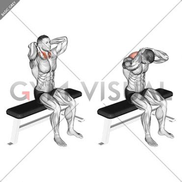 Seated Flexion And Extension Neck (male)