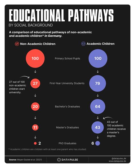Rising driving license costs in Germany - DataPulse Research