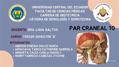 Semiologia X Par Craneal Henry Cabezas Udocz