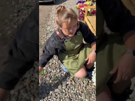 Алиссум Кристалл #сад #дача #огород #семенаалтая - YouTube