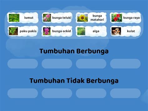 Tumbuhan Berbunga dan Tidak Berbunga - Group sort