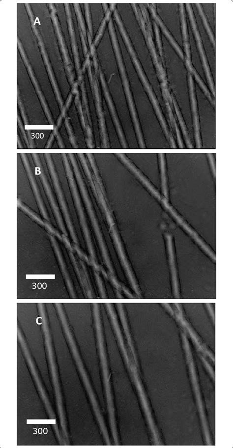 SEM Images For Electrospun PVA Nanofibers Prepared In Different Flow