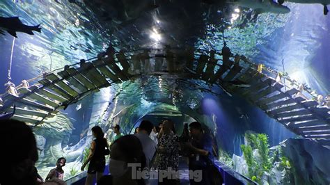 Lotte World Aquarium Hanoi En