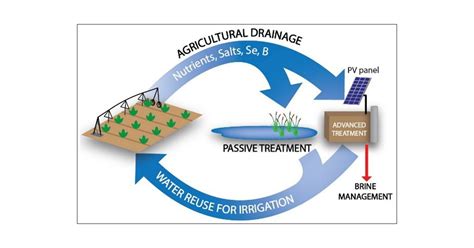 Opportunities For Treatment And Reuse Of Agricultural Drainage In The