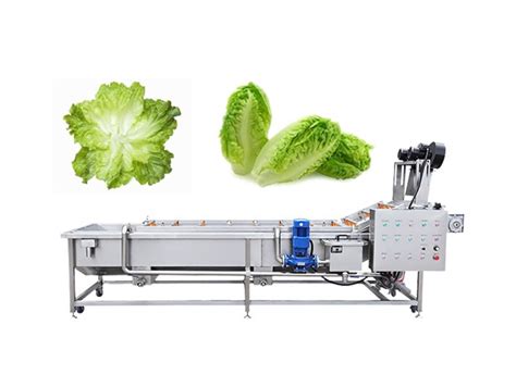 Leafy Vegetable Washing Machine Price