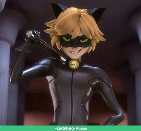 Chat Noir •miraculous Ladybug Español• Amino