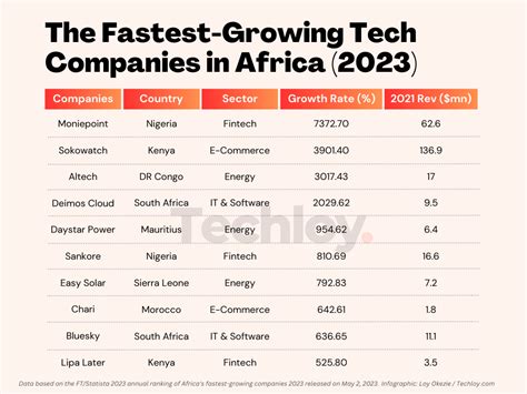 Infographic The Fastest Growing Tech Companies In Africa For 2023