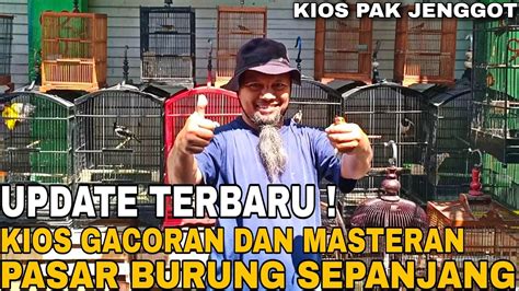 REVIEW HARGA TERBARU 2022 ANEKA BURUNG GACORAN DAN MASTERAN LANGKA DI