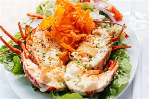 Buy Whole Lobster Mornay Online | Manettas Seafood Market