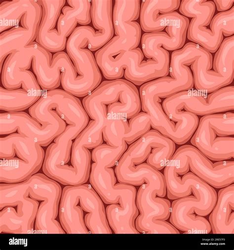 Human Brain Seamless Pattern With Vector Texture Of Pink Folds Cartoon