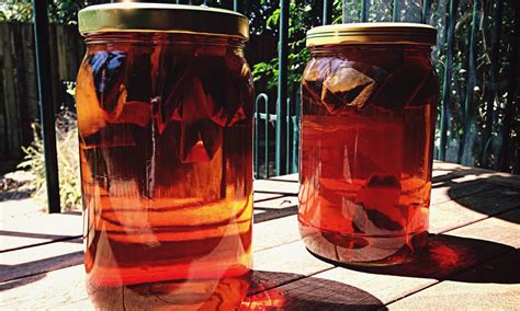 How To Make Sun Tea Without Accidentally Poisoning Yourself Sun Tea