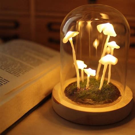 Mushrooms In Forests Light Mushroom Lights Mushroom Lamp Diy Lamp