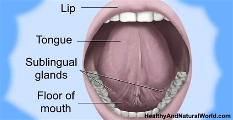 Painful Sores, Bumps or Blisters Under Tongue: Causes and Treatments