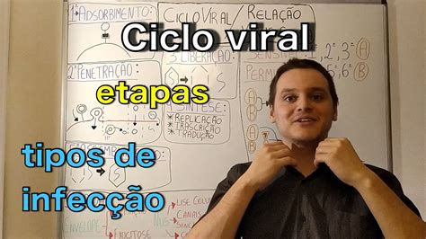 Ciclo Viral E Rela O V Rus C Lula Curso De Virologia Medicina