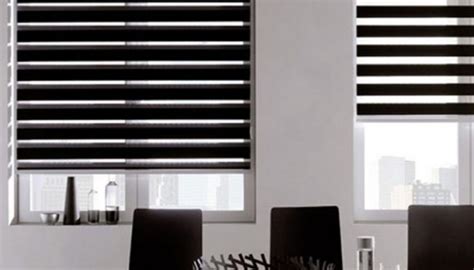 A Guide For Zebra Blind • Problind Shutters