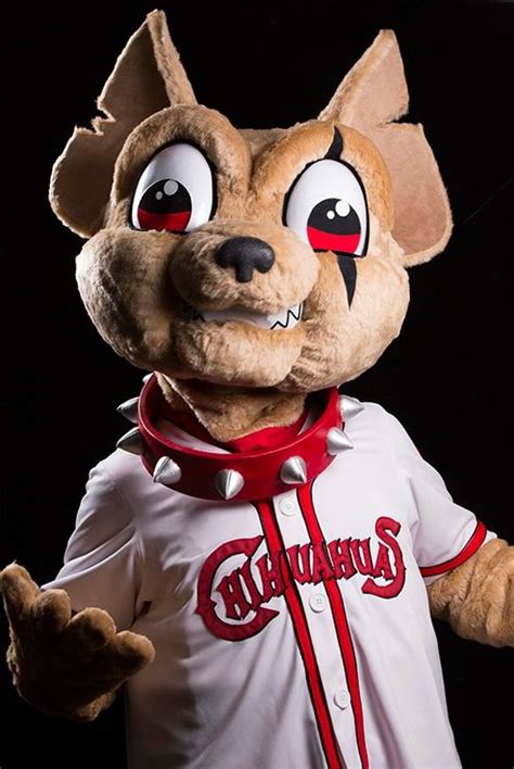 Chico The Chihuahua El Paso Chihuahuas Mascot Aaa Pacific Coast