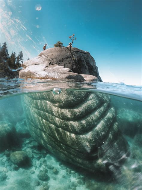 Bonsai Rock Lake Tahoe Lake Tahoe Lake Tahoe