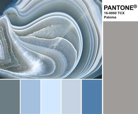 Модные цвета PANTON Осень — Зима 2019/2020 | Цветовые схемы красок ...