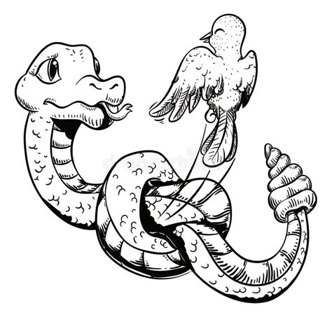 从打结的响尾蛇逃脱的难捉的鸟矢量图插图 向量例证. 插画 包括有 逃脱, 凹道, 愉快, 鸟舍, 正餐 - 230513701
