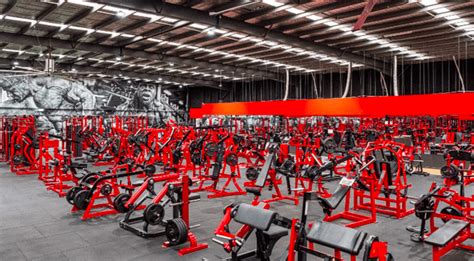 The Best Gyms In Sydney Australia A Fitness Enthusiast S Guide