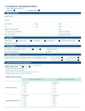 Remplissable En Ligne Coface Diagnostic Assurance Cr Dit Afrique