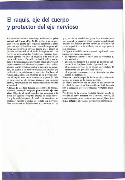 Fisiologia Articular 3 Kapandji 6a Ed Pdf