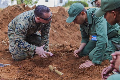 Us To Revise Landmine Policy Arms Control Association