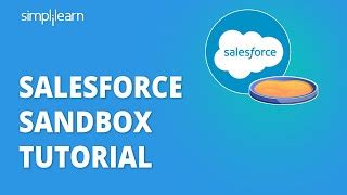 Salesforce Sandbox Tutorial Salesforce Training Videos For Beginners