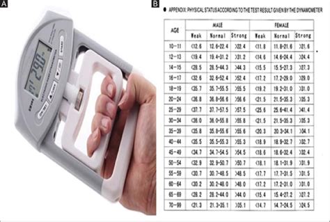 Hand Dynamometer Grip Strength Measurements