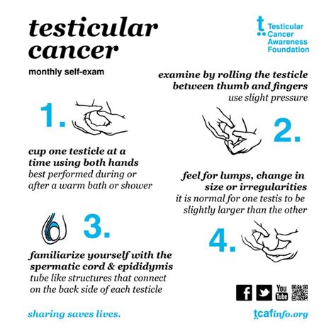 Cancer Signs Of Testicular Cancer