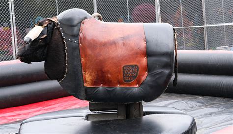 mechanical bulls  culture  history buckin wild