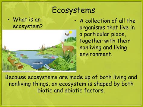 Ppt Ecosystems Powerpoint Presentation Free Download Id1824648