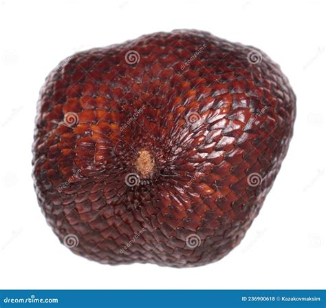 Salak De Fruta De Serpiente Aislado En Fondo Blanco Foto De Archivo