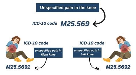 Knee Pain ICD 10 Codes For Right Left Knee Pain Lower Leg