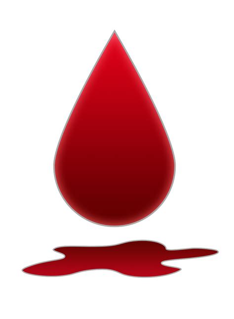 Mancha De Sangre Un Charco Imagen Gratis En Pixabay