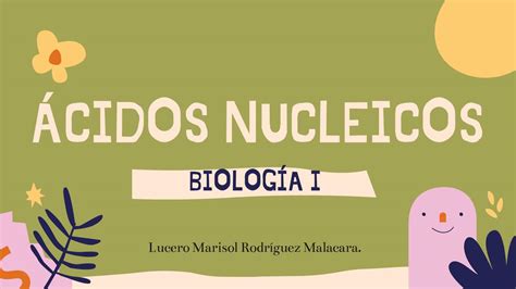 Ácidos Nucleicos Lucero Rodríguez uDocz