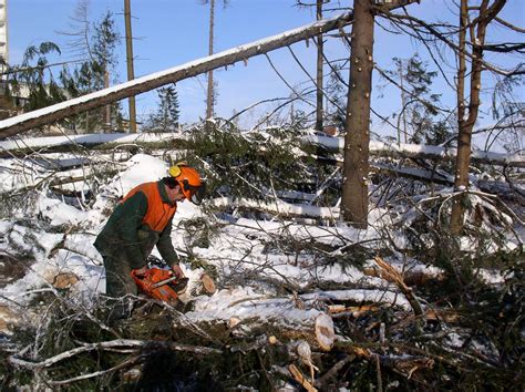 V Tatranskom národnom parku pokračujú krádeže dreva Zlodejom nevadí