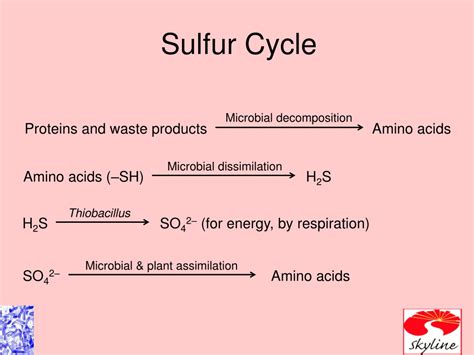 Ppt Ch Environmental Microbiology Powerpoint Presentation Free