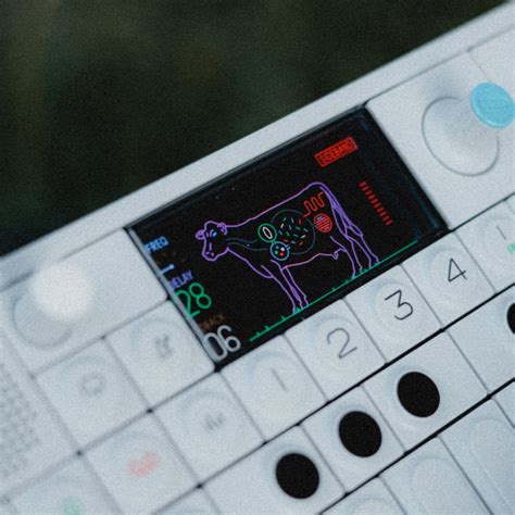 OP1 vs. OPZ: Which one is right for you? — LIAM KILLEN