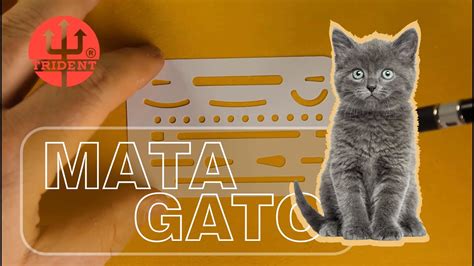 Mata Gato para quê serve e como usa Curso de desenho técnico YouTube