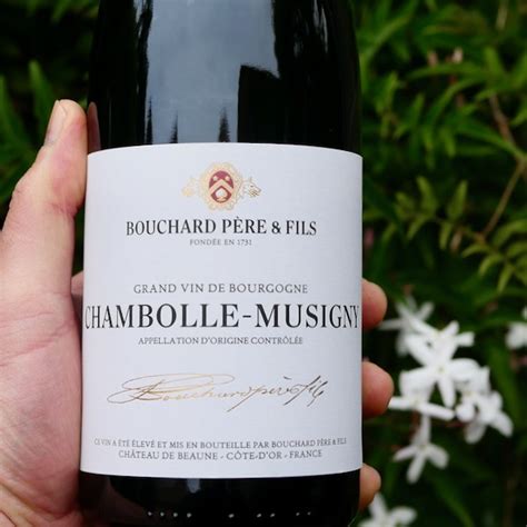 Domaine Bouchard Pere Et Fils Chambolle Musigny 2019 WINE DECODED