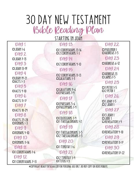 Bible Reading Plan | PDF