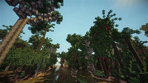 Rainforest Biome Custom Terrain Minecraft Project