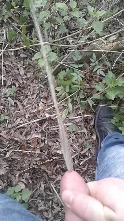 Pissen Im Wald Gay Amateur Hd Porn Video F Xhamster