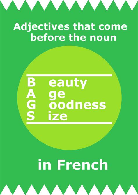 13 Bags Adjectives French Worksheet Ideas