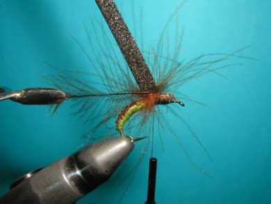 Caddis emerger - Fly Tying tutorials | Fly dreamers